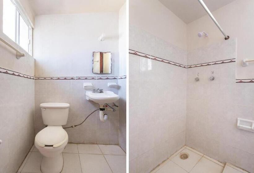 اتاق استاندارد, Cedros