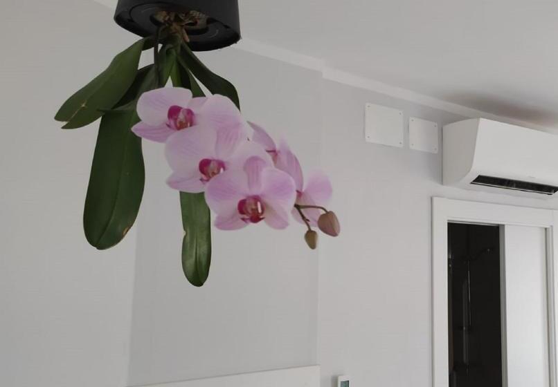Cameră Deluxe cu Vedere la Mare, Aquarium Rooms