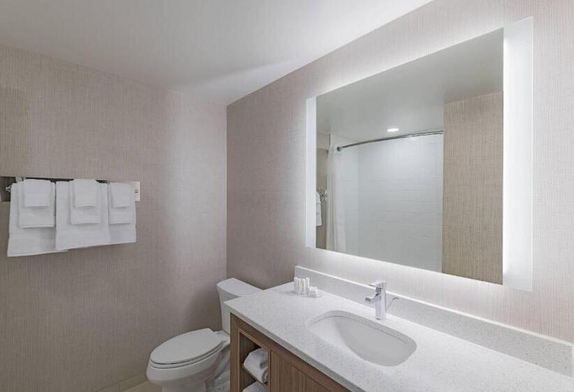 スタンダードスタジオ, Residence Inn By Marriott Halifax Dartmouth
