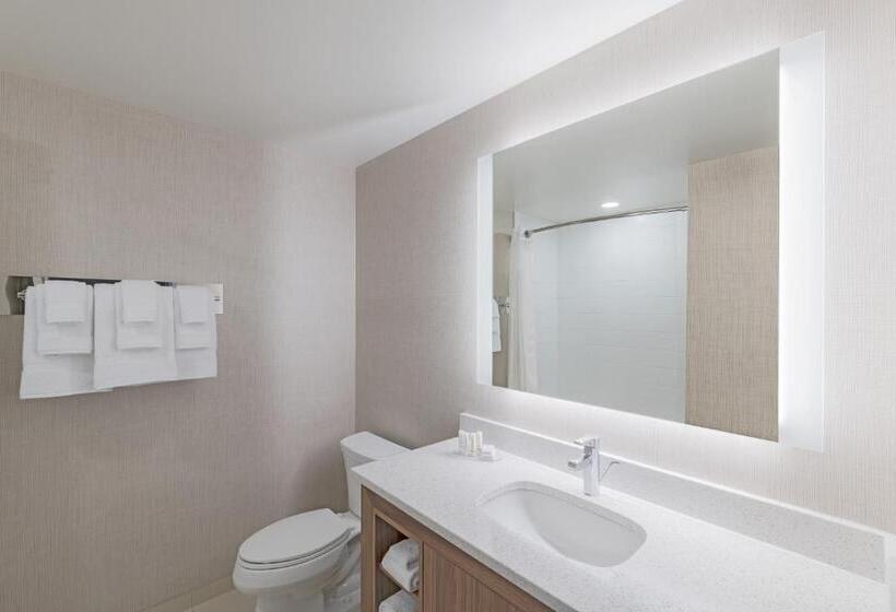 キングサイズベッドのスイートルーム, Residence Inn By Marriott Halifax Dartmouth