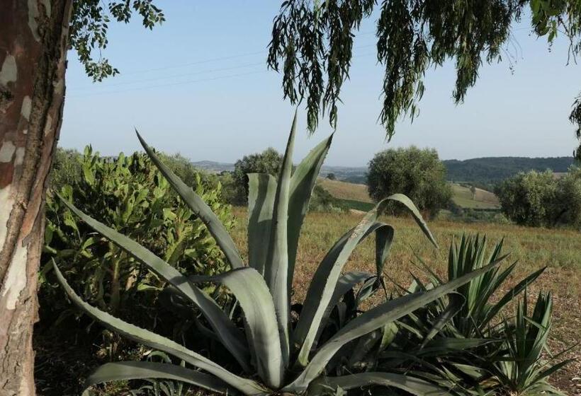 ３ベッドルームハウス, Agriturismo Uliveto Gretacci