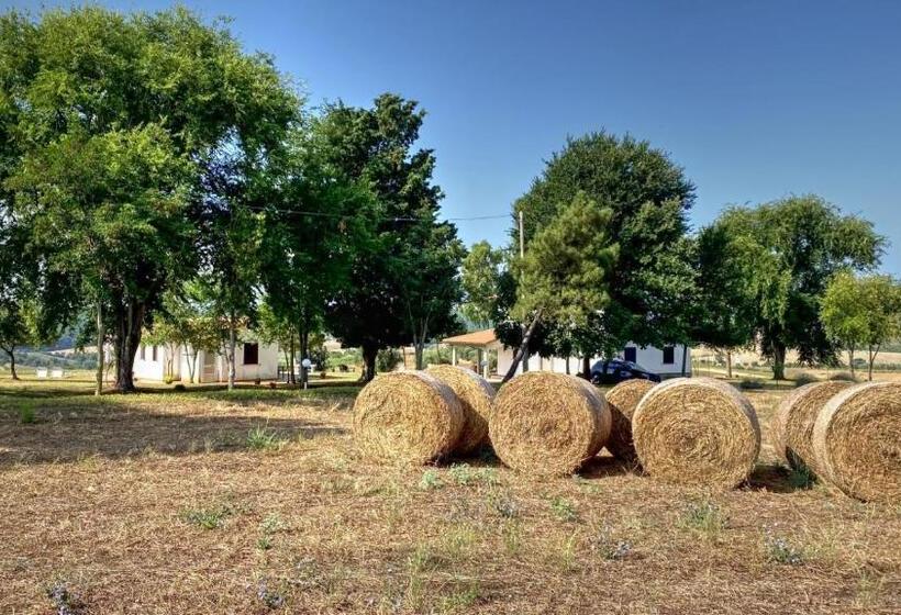 ２ベッドルームアパートメント, Agriturismo Uliveto Gretacci