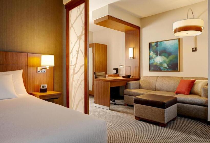 Стандартный Номер Кровать Кинг, Hyatt Place Austin Cedar Park
