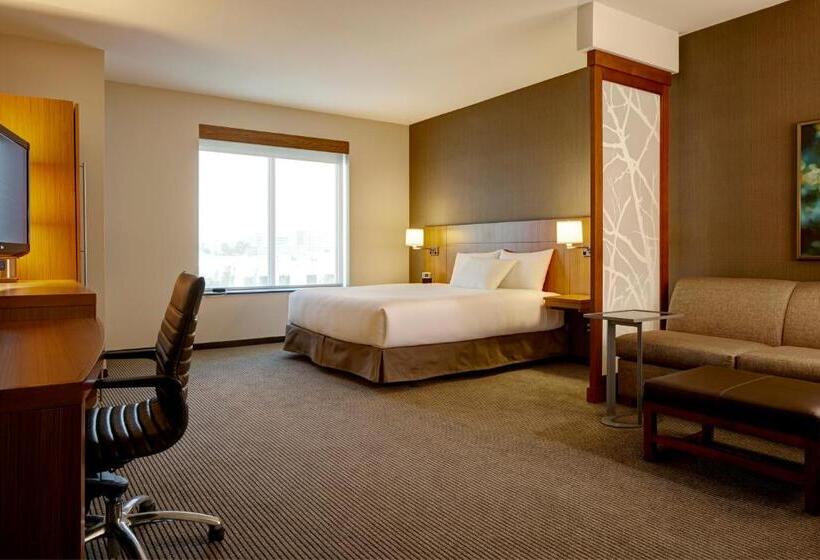 Номер Стандарт Кровать Кинг Адаптированный для Инвалидов, Hyatt Place Austin Cedar Park