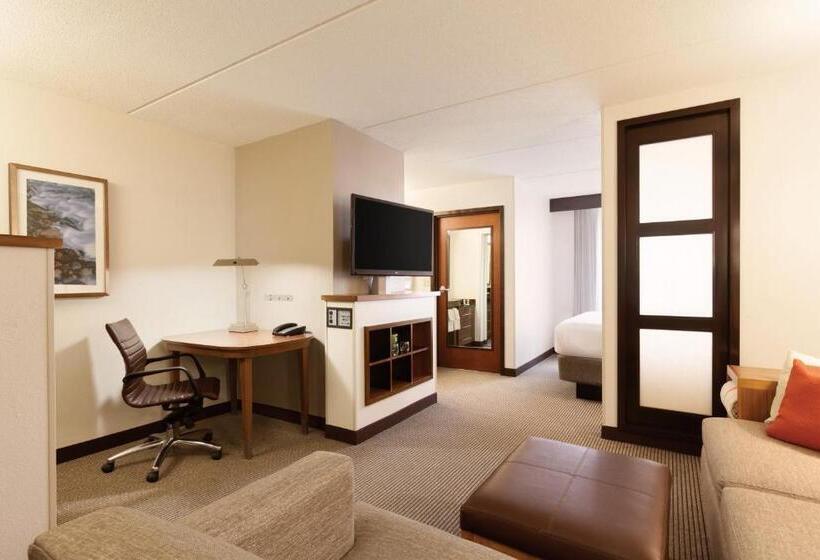 Стандартный Номер Кровать Кинг, Hyatt Place Austin Cedar Park