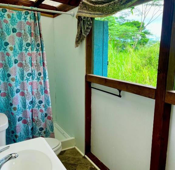 Студия Deluxe, Hawaiian Sanctuary Eco Retreat Center