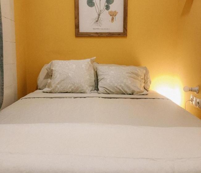 اتاق اکونومی, The Urban Jungle Hostel