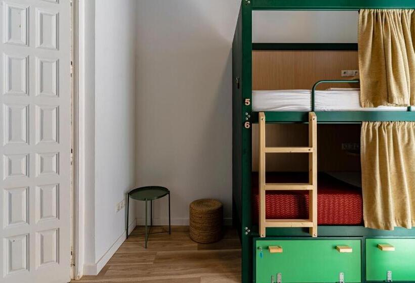 اتاق خانوادگی, The Urban Jungle Hostel