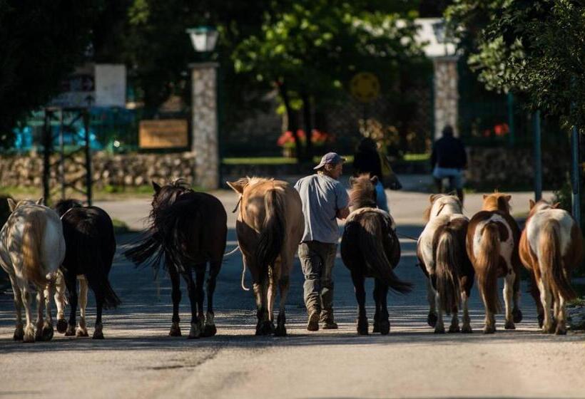 اتاق استاندارد, Agriturismo Maneggio Vallecupa