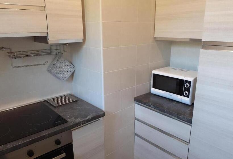 Standard studio with lake view, Residence Le Palme Appartamenti