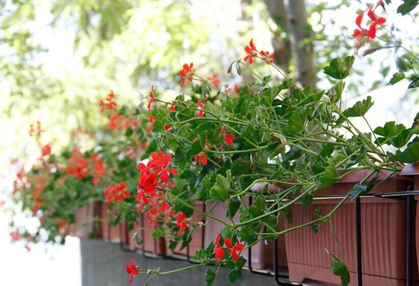 استودیو استاندارد با بالکن, Casa Chamonin