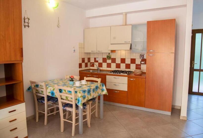 Студия Стандарт, Residence Le Rose
