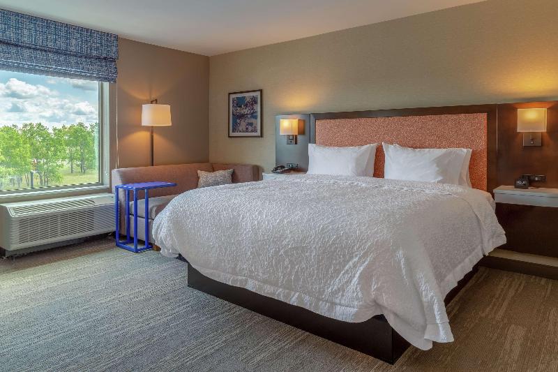 스탠다드 룸 킹사이즈 침대, Hampton Inn Bourbonnais Kankakee