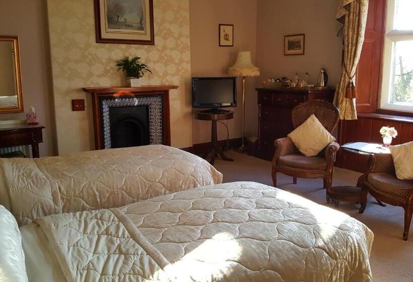 Номер Deluxe, St David's Guesthouse