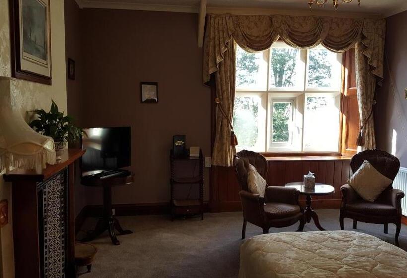 Номер Deluxe, St David's Guesthouse