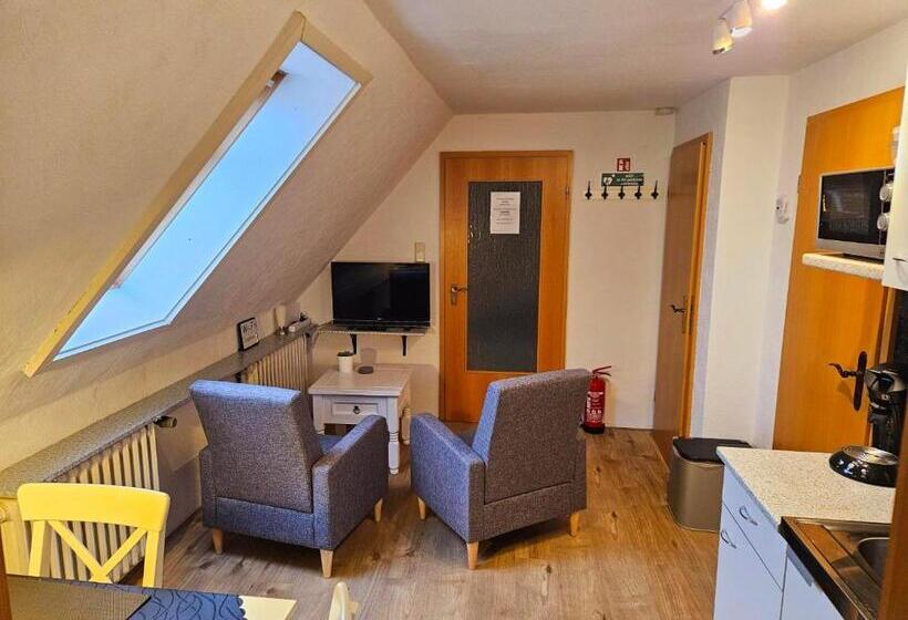 Студия Стандарт, Ferienbauernhof De Slaaphoeve
