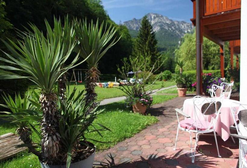 Номер Стандарт с Балконом, Aparthotel Alpenpark