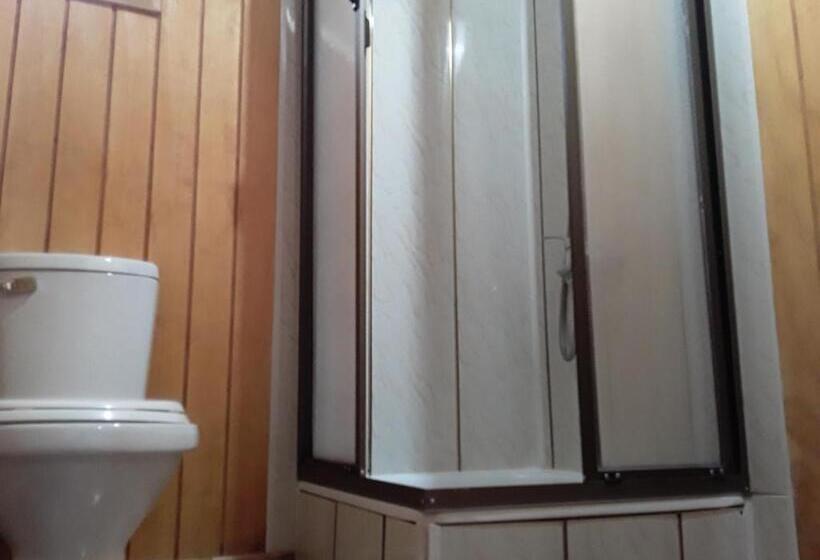 标准单人间, Hostal Don Pedro