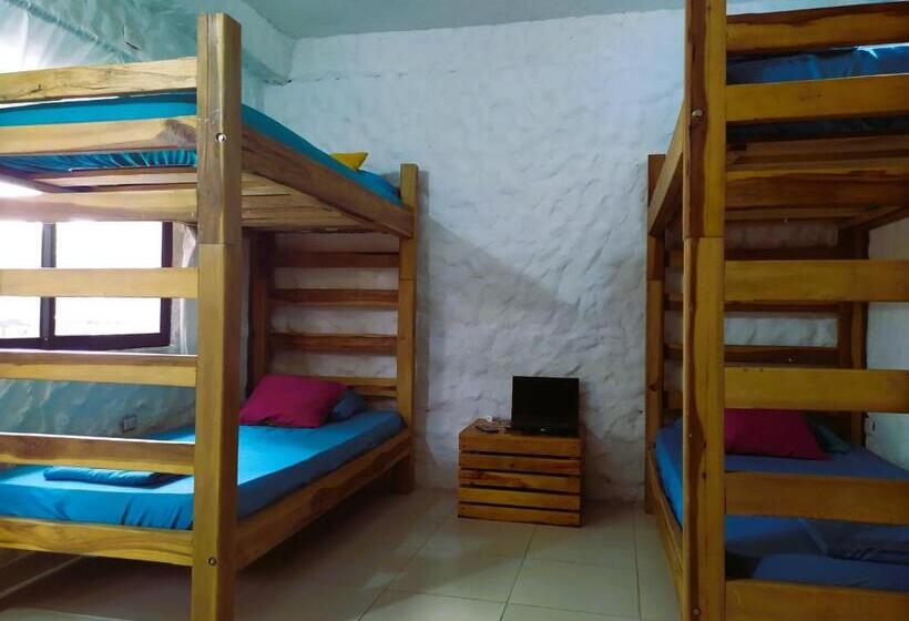 מיטה בחדר משותף, Rokadura Hostel