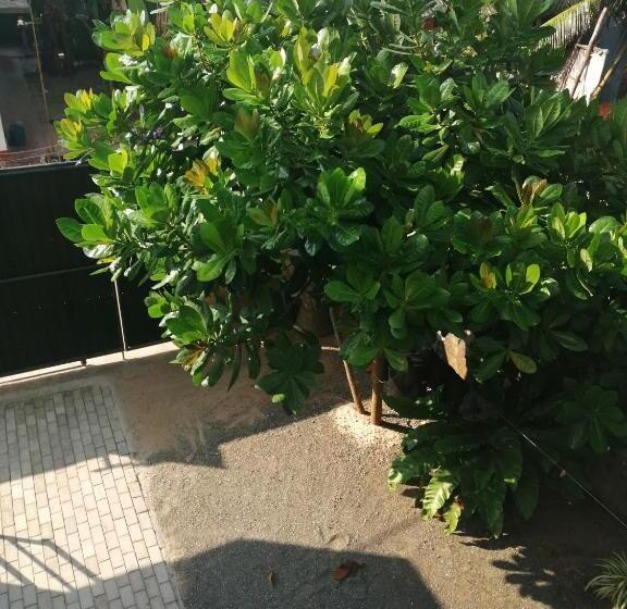 标准间, Sena Home