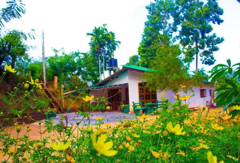 اتاق لوکس, Ella My Inn