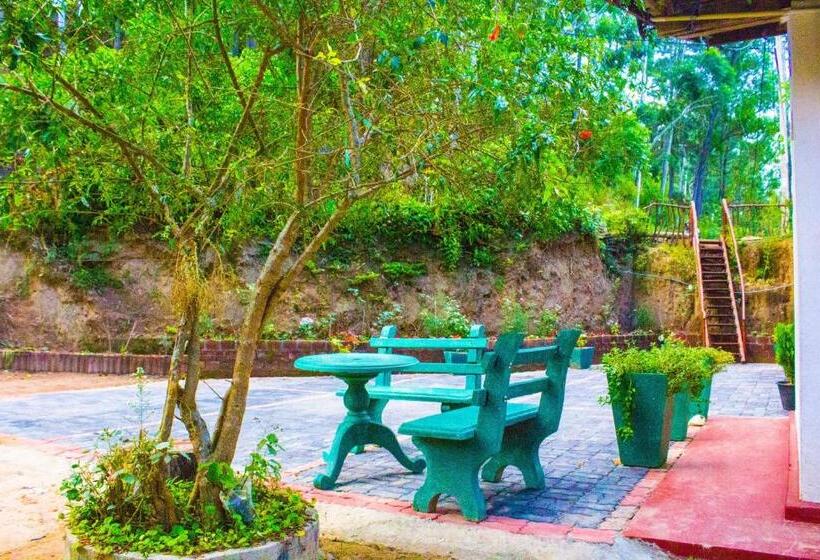 اتاق لوکس, Ella My Inn