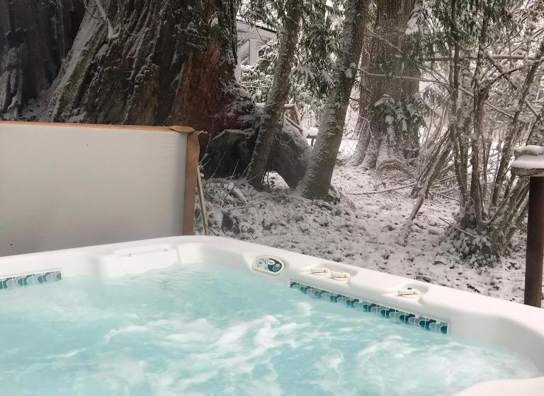 Люкс Кровать Кинг, Mountain Meadows Inn & Chalet Suites