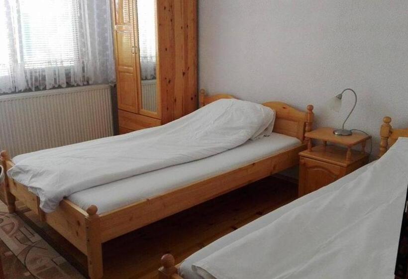 استودیو استاندارد با تراس, Tsvetkovi Guest House