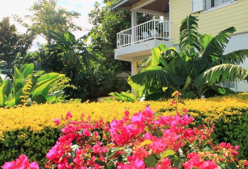 آپارتمان 1 خوابه با چشم‌انداز دریا, L Oasis De Terre Rouge