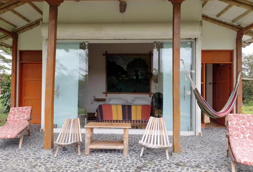 테라스 주니어 스위트, Hacienda El Samán