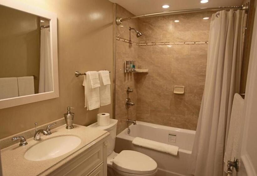 سوئیت با تخت بزرگ, New Haven Inn