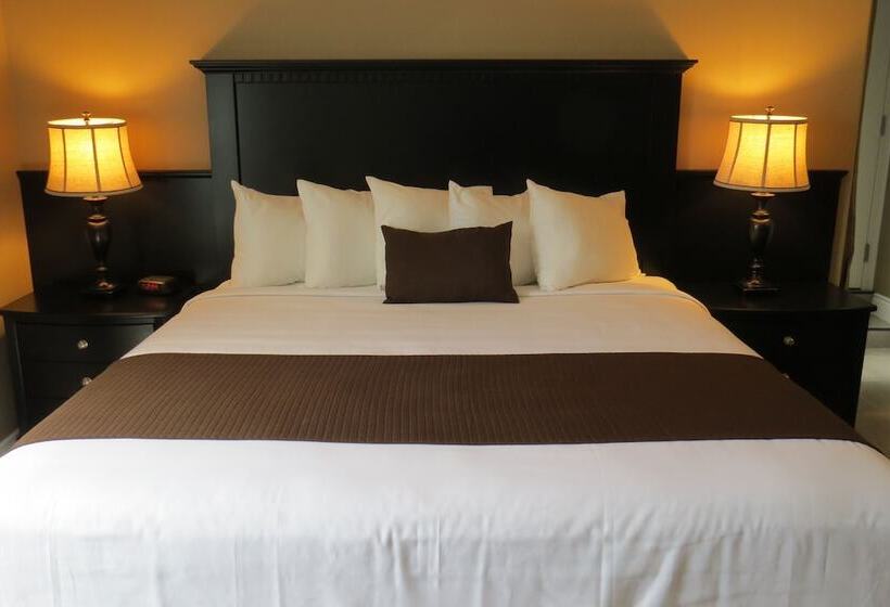 小型套房, Dockside Suites