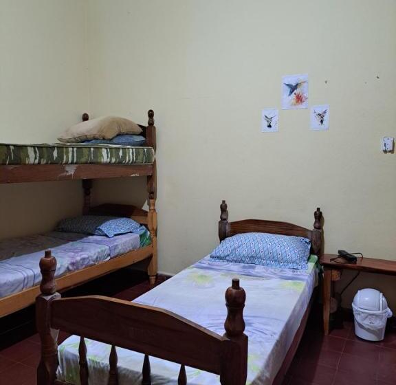 تختخواب در اتاق مشترک, Hummingbird Hostel