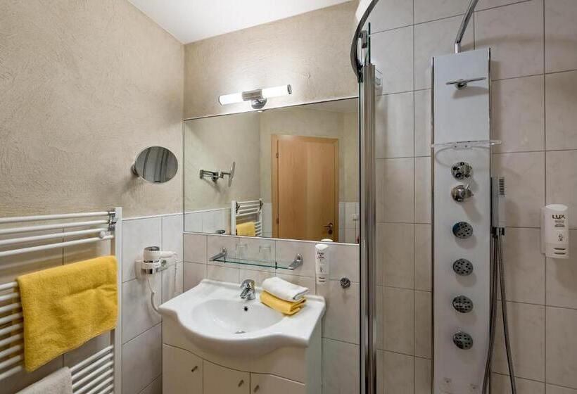Апартаменты 1 Спальня, Aparthotel Alpendiamant Serfaus Wachter Gmbh