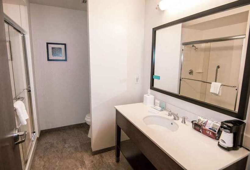 장애인을 위한 스탠다드 룸, Hampton Inn Gardner Conference  Center