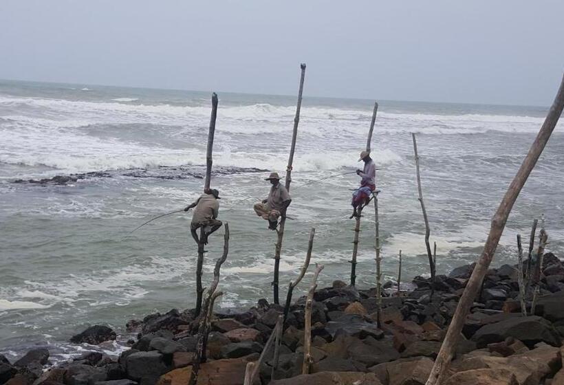 اتاق استاندارد, Blue Beach Paradise