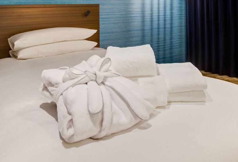 Standard Room Double Bed, Hyatt Regency Tokyo Bay