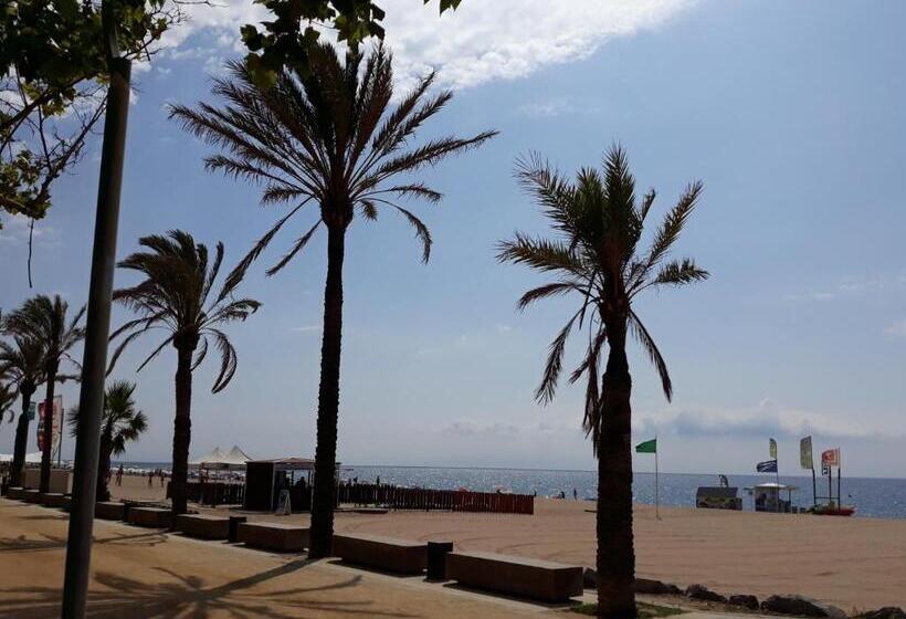 低层单卧公寓, Apartaments Mar Blau Calella