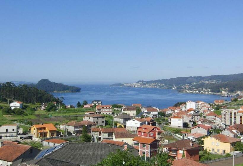 Номер Стандарт, Galicia