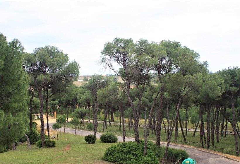 Номер Стандарт Трехместный, Oromana
