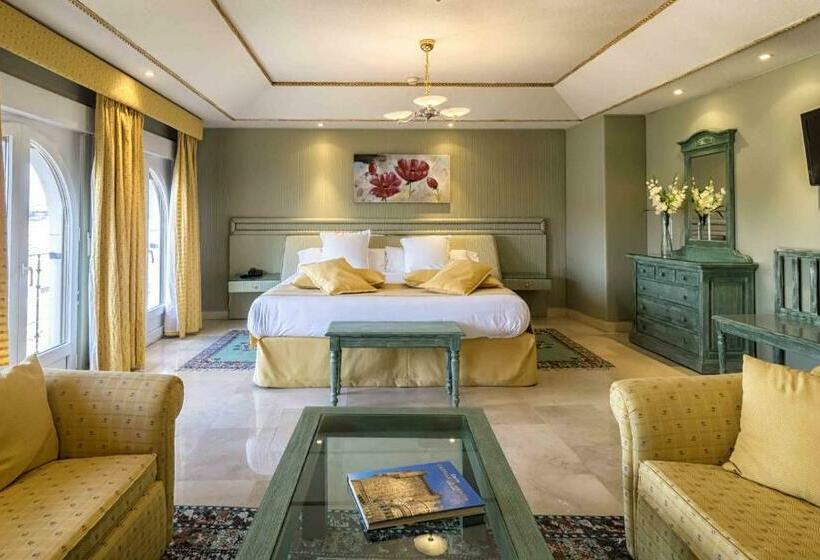 اتاق سوپریور, Sercotel Alfonso Vi