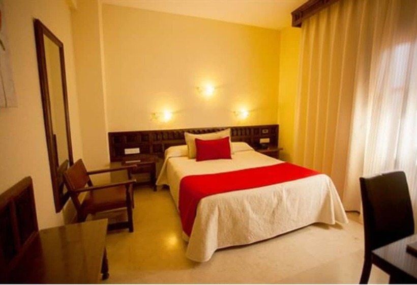 اتاق استاندارد یک نفره, Sercotel Alfonso Vi