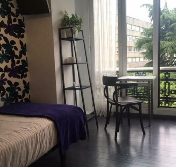 Номер Стандарт Индивидуальный Вид на Город, Hostal Mafer