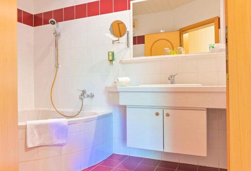 Полулюкс, Ferienhotel Alber