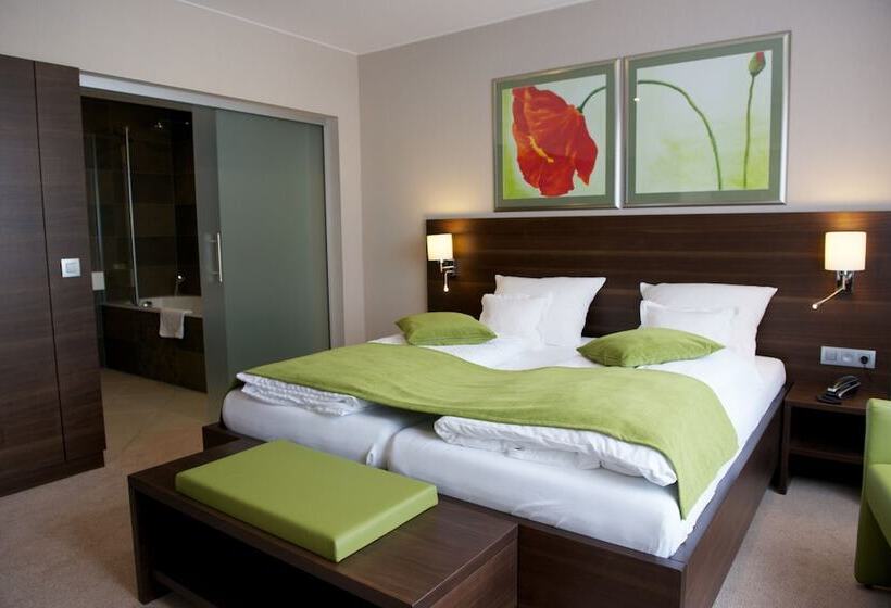 Номер Стандарт, Relax Hotel Pip Margraff