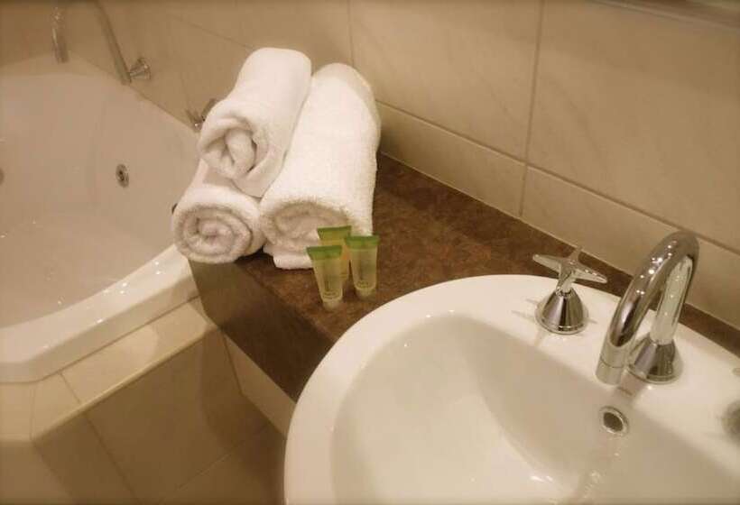스탠다드 룸 킹사이즈 침대, The Wyndhamere Motel Shepparton
