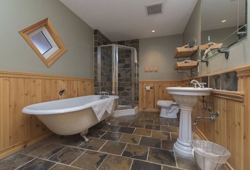 プレミアムルーム, Buffalo Mountain Lodge