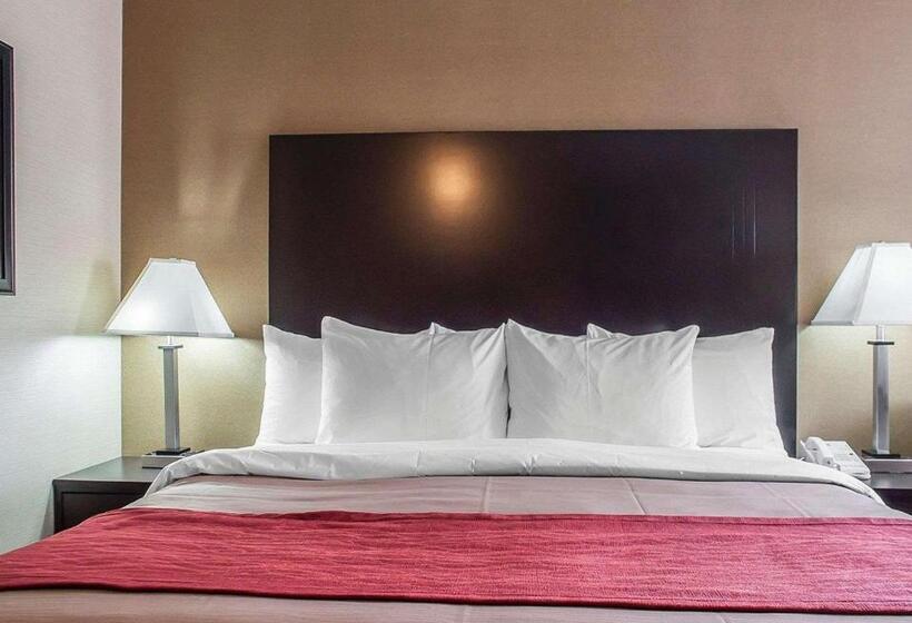 스탠다드 룸, Comfort Inn