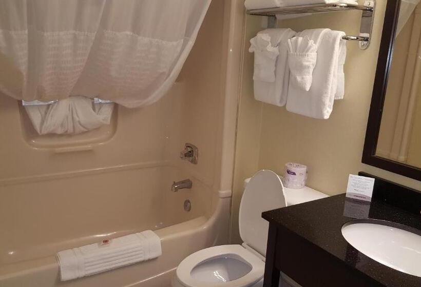 Номер Стандарт, Comfort Inn