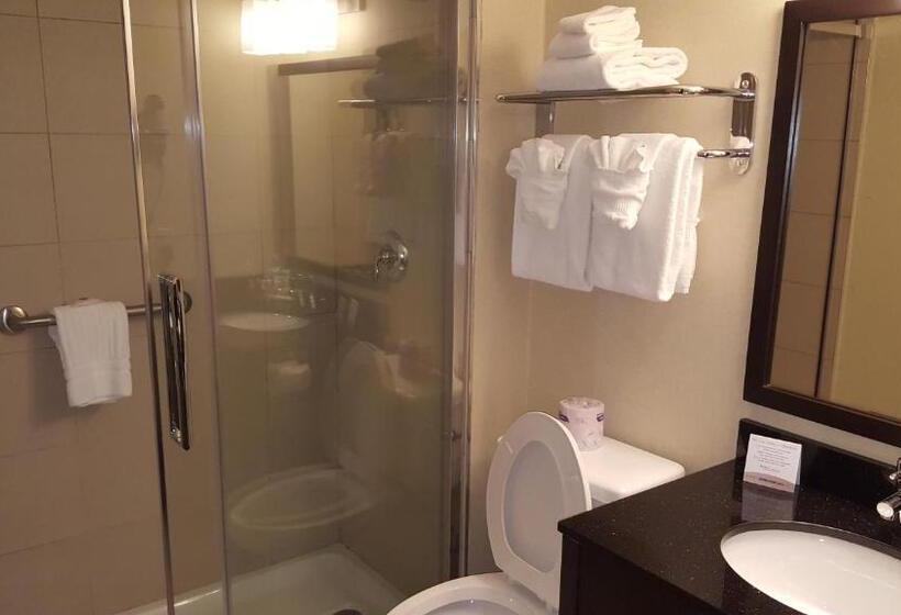 이그제큐티브 스위트 킹침대, Comfort Inn